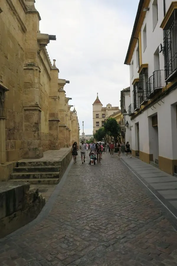 Calle De La Convalecencia Cordoba 0*,